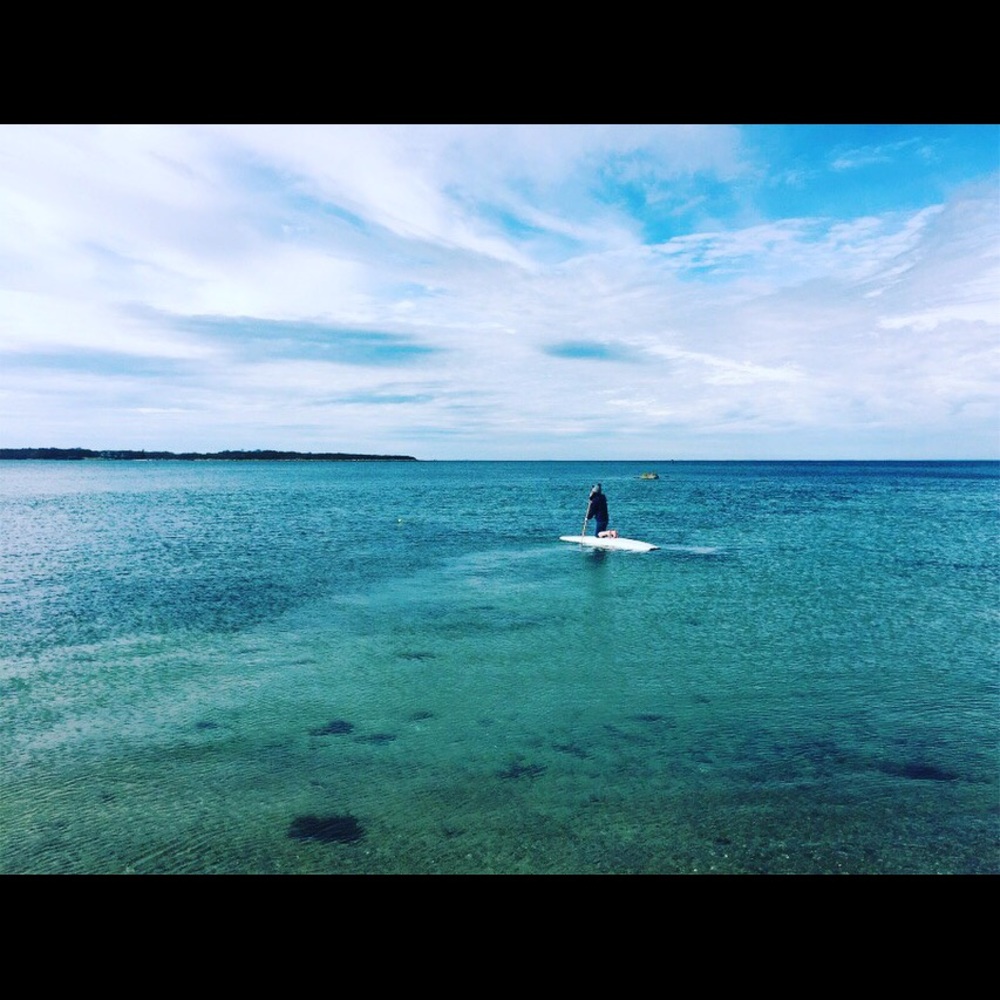 Meet your Posher, Grace